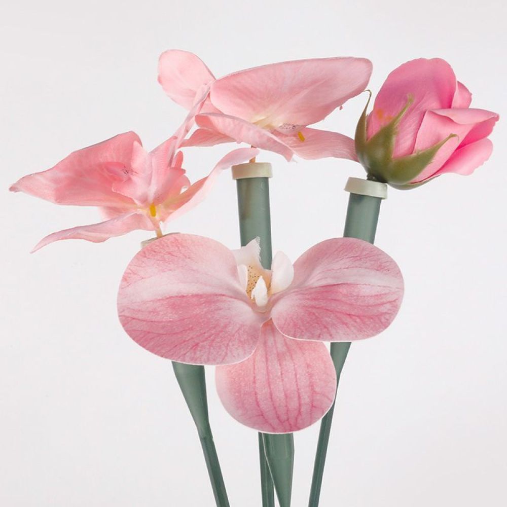 The Florist Supply Shop - Tubos de Conservação Floral Transparentes de